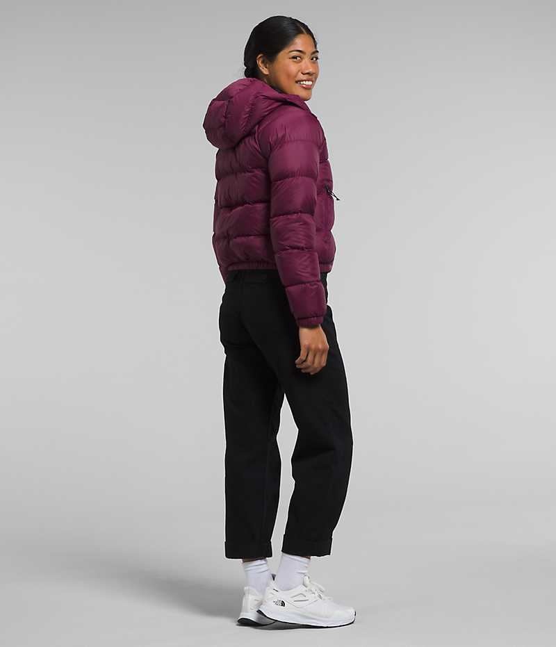 Doudoune The North Face Hydrenalite™ Femme Fushia | PARIS RWZHB