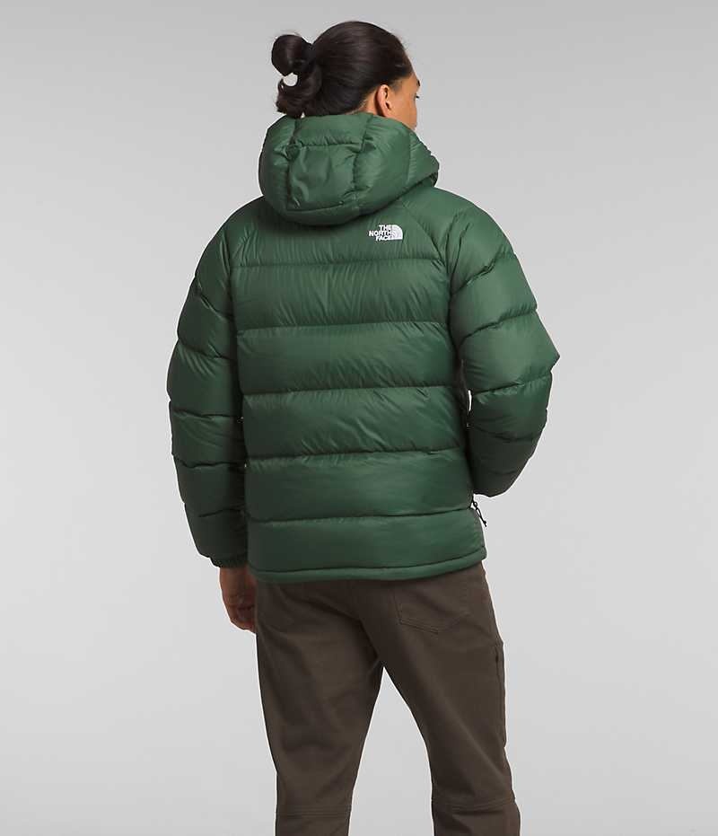 Doudoune The North Face Hydrenalite™ Hoodie Homme Vert | FR OVYAG