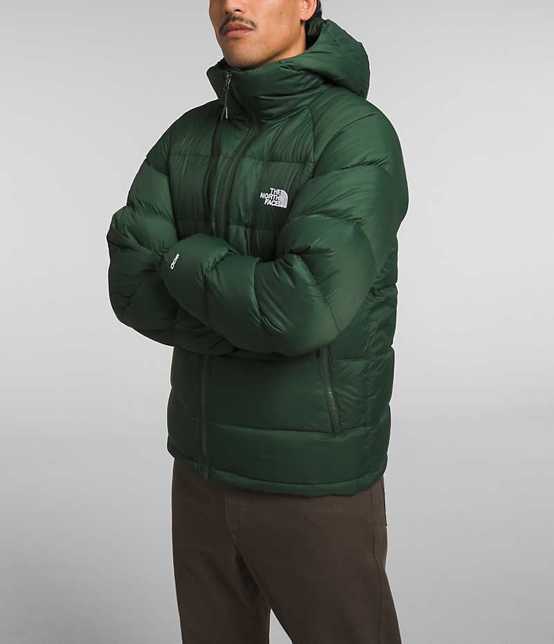 Doudoune The North Face Hydrenalite™ Hoodie Homme Vert | FR OVYAG