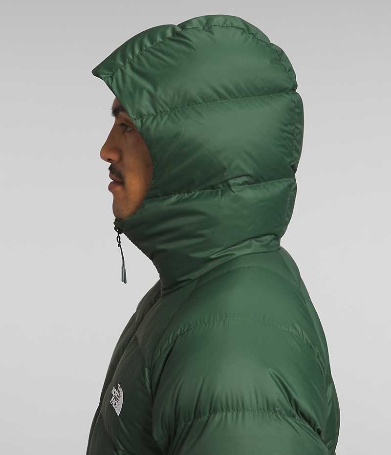 Doudoune The North Face Hydrenalite™ Hoodie Homme Vert | FR OVYAG