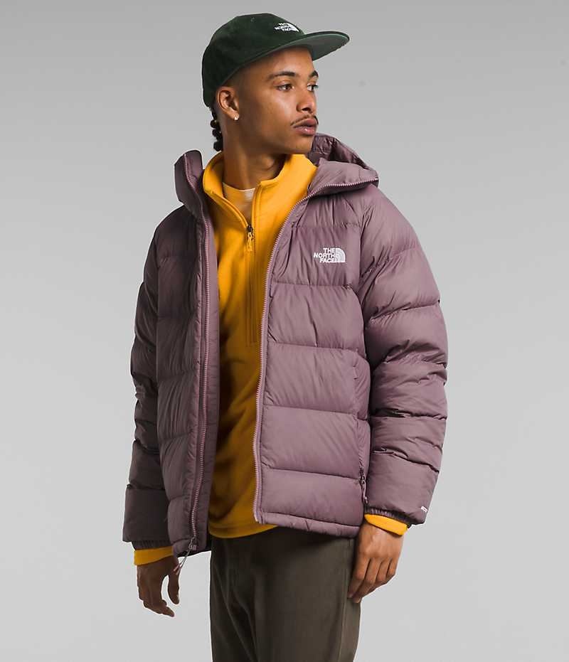 Doudoune The North Face Hydrenalite™ Hoodie Homme Fushia | FRANCE QZSXG