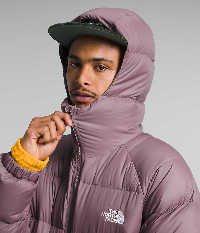 Doudoune The North Face Hydrenalite™ Hoodie Homme Fushia | FRANCE QZSXG