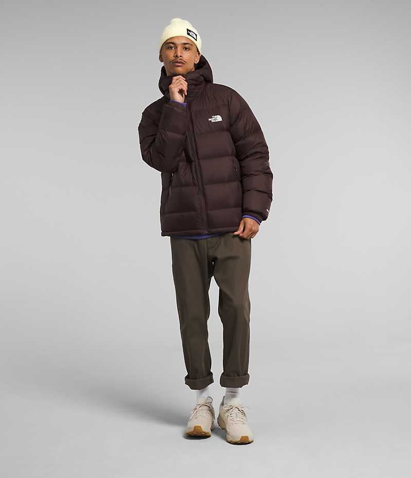 Doudoune The North Face Hydrenalite™ Hoodie Homme Bordeaux | PARIS VHEJQ