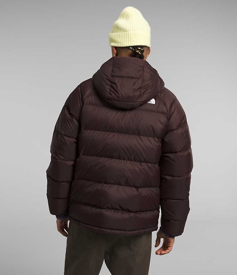 Doudoune The North Face Hydrenalite™ Hoodie Homme Bordeaux | PARIS VHEJQ
