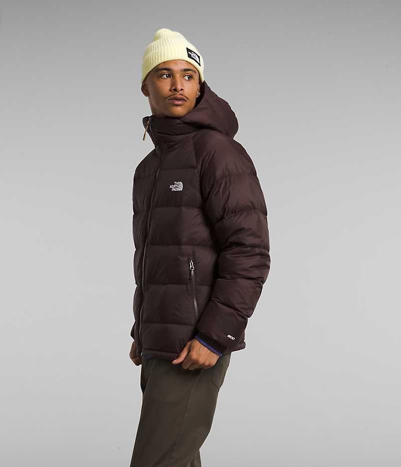 Doudoune The North Face Hydrenalite™ Hoodie Homme Bordeaux | PARIS VHEJQ