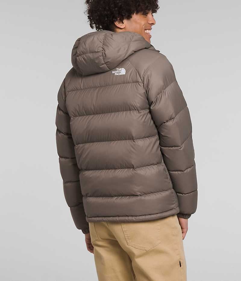 Doudoune The North Face Hydrenalite™ Hoodie Homme Marron | FR UZFGY