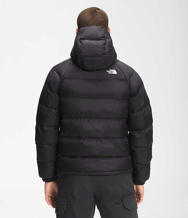 Doudoune The North Face Hydrenalite™ Hoodie Homme Noir | FRANCE AWJPQ