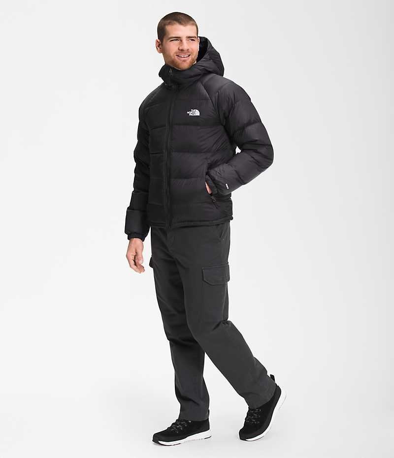Doudoune The North Face Hydrenalite™ Hoodie Homme Noir | FRANCE AWJPQ