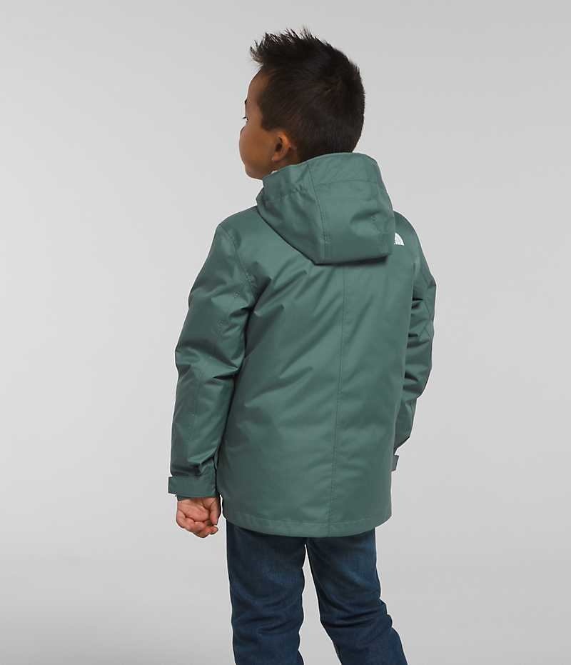 Doudoune The North Face North Triclimate® Garcon Vert | FR MWBYU