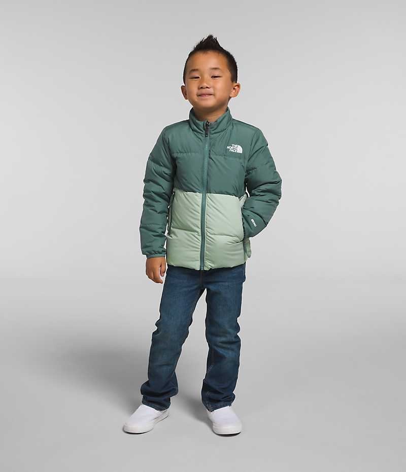 Doudoune The North Face North Triclimate® Garcon Vert | FR MWBYU