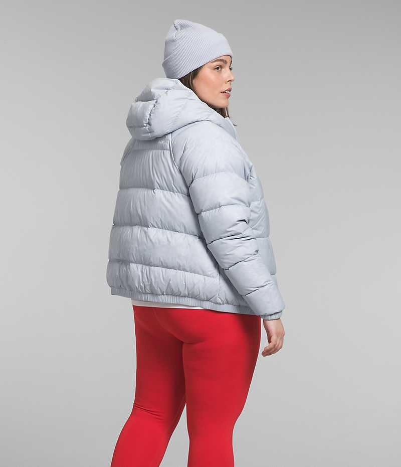 Doudoune The North Face Plus Hydrenalite™ Hoodie Femme Grise | FRANCE IKWNJ