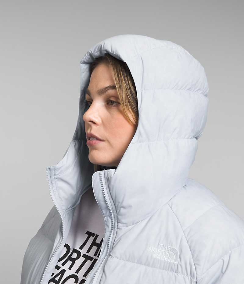 Doudoune The North Face Plus Hydrenalite™ Hoodie Femme Grise | FRANCE IKWNJ