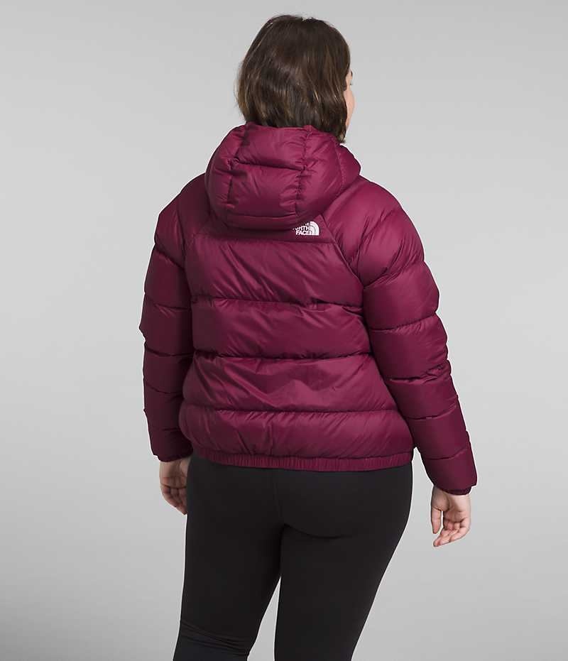 Doudoune The North Face Plus Hydrenalite™ Hoodie Femme Rouge | FR GNIPD