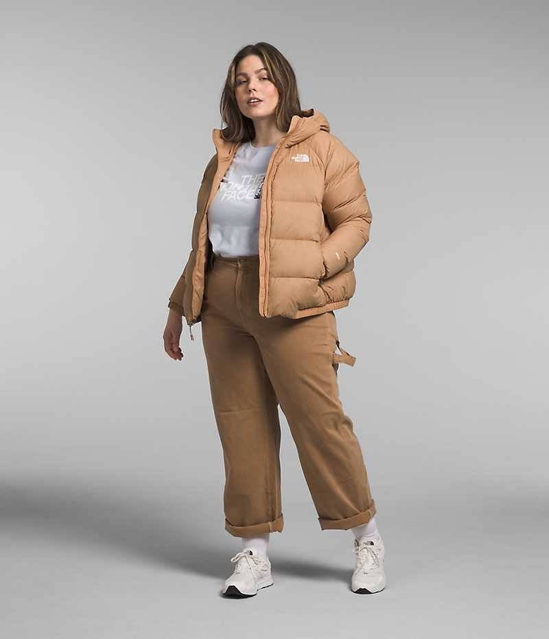 Doudoune The North Face Plus Hydrenalite™ Hoodie Femme Kaki | FRANCE WPRDY