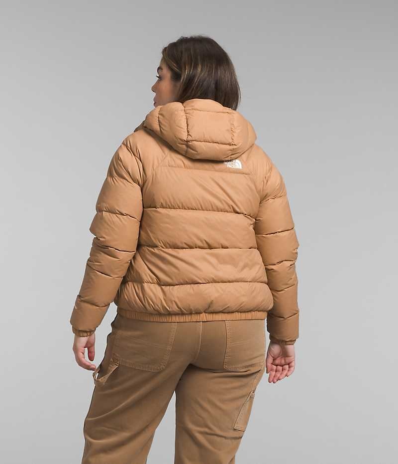 Doudoune The North Face Plus Hydrenalite™ Hoodie Femme Kaki | FRANCE WPRDY