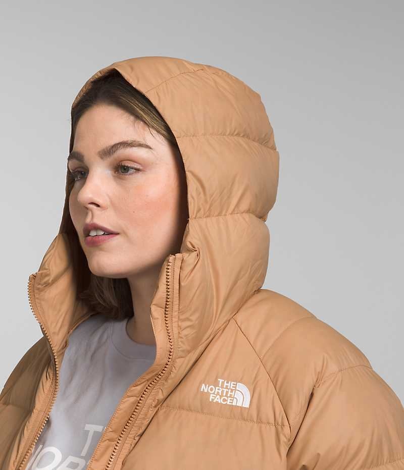 Doudoune The North Face Plus Hydrenalite™ Hoodie Femme Kaki | FRANCE WPRDY