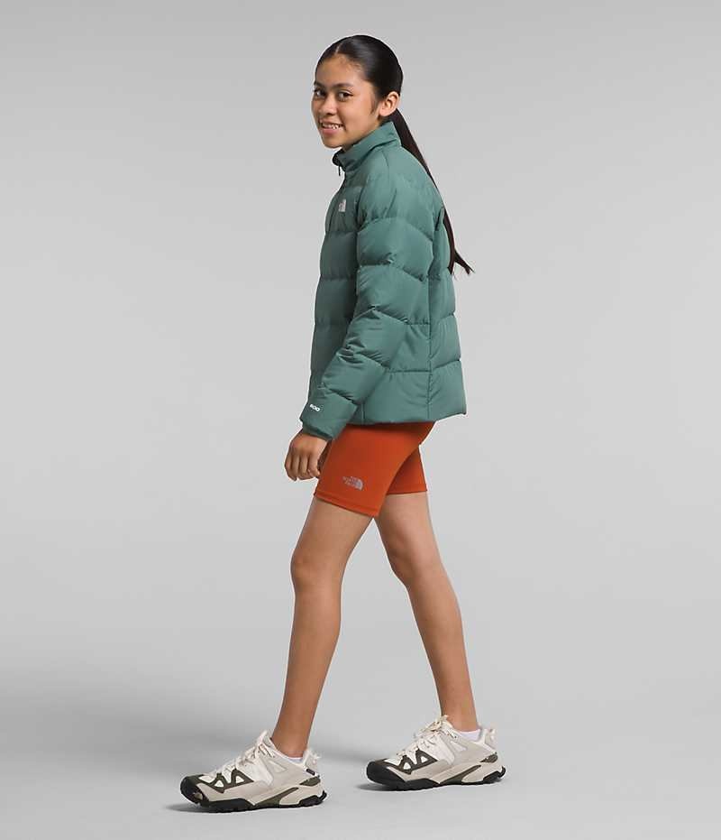 Doudoune The North Face Reversible North Fille Vert | FRANCE HDWYV