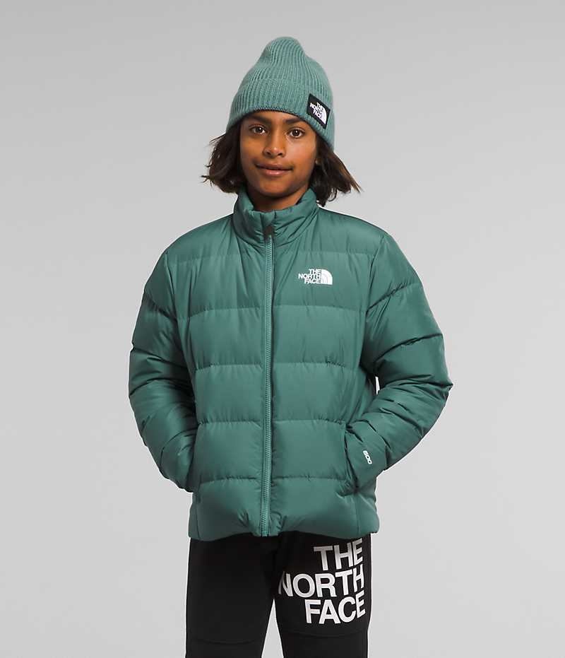 Doudoune The North Face Reversible North Garcon Vert | FRANCE NBLHQ