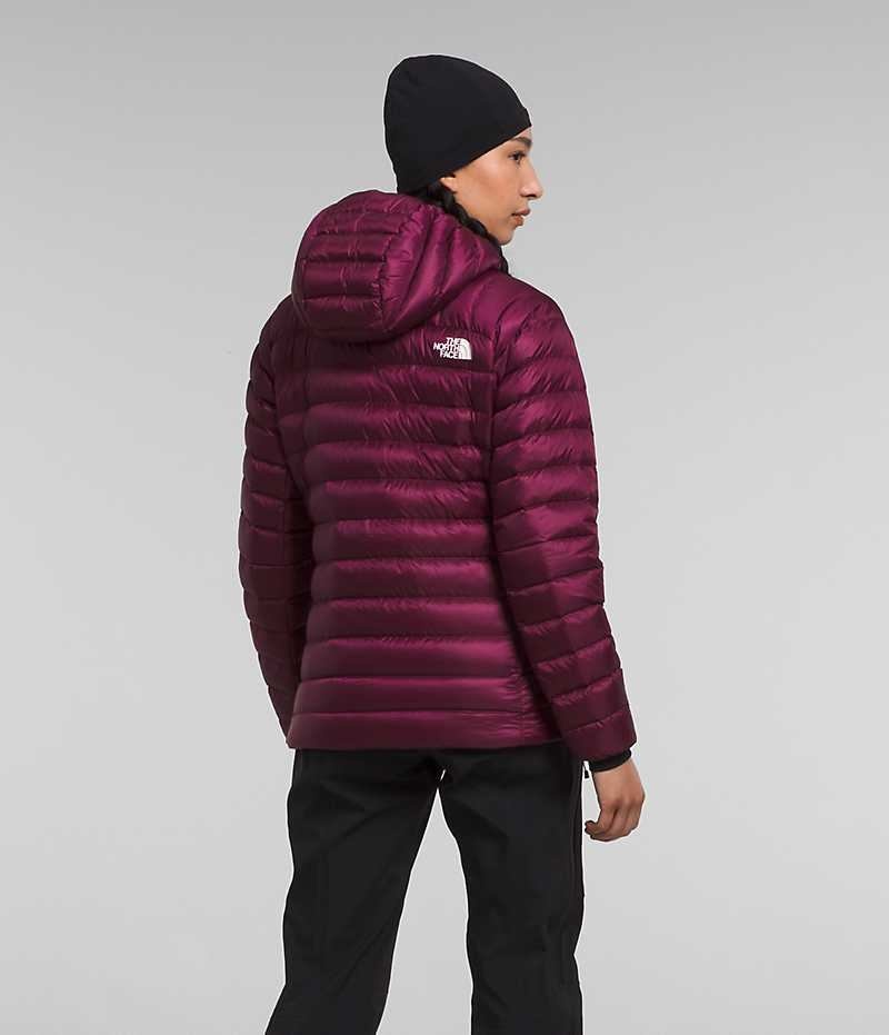 Doudoune The North Face Summit Series Breithorn Hoodie Femme Bordeaux | FRANCE NZGCW