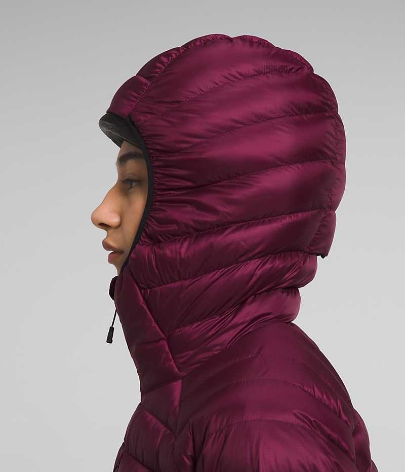 Doudoune The North Face Summit Series Breithorn Hoodie Femme Bordeaux | FRANCE NZGCW