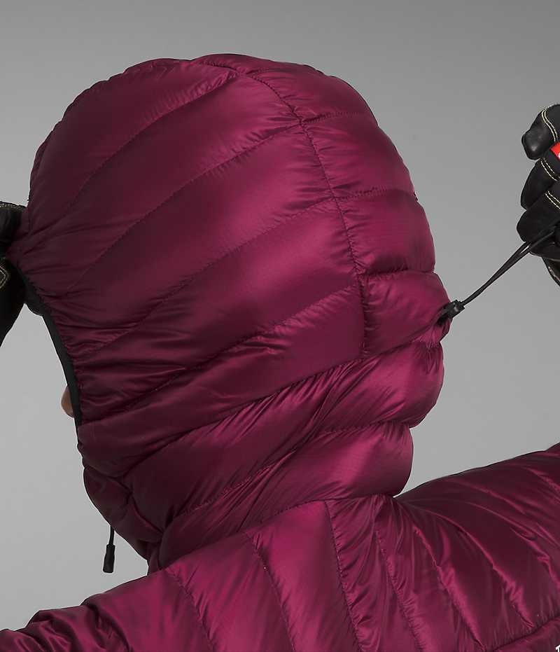 Doudoune The North Face Summit Series Breithorn Hoodie Femme Bordeaux | FRANCE NZGCW