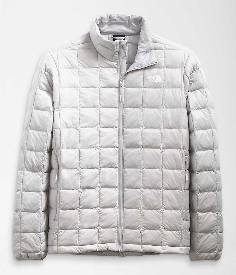 Doudoune The North Face ThermoBall™ Eco 2.0 Homme Grise | FRANCE MXOGK