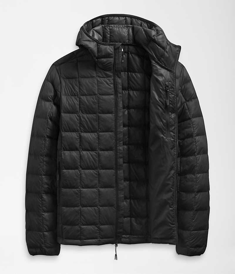 Doudoune The North Face ThermoBall™ Eco Hoodie 2.0 Homme Noir | PARIS ECZSA