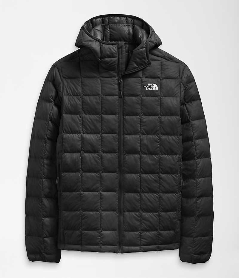 Doudoune The North Face ThermoBall™ Eco Hoodie 2.0 Homme Noir | PARIS ECZSA