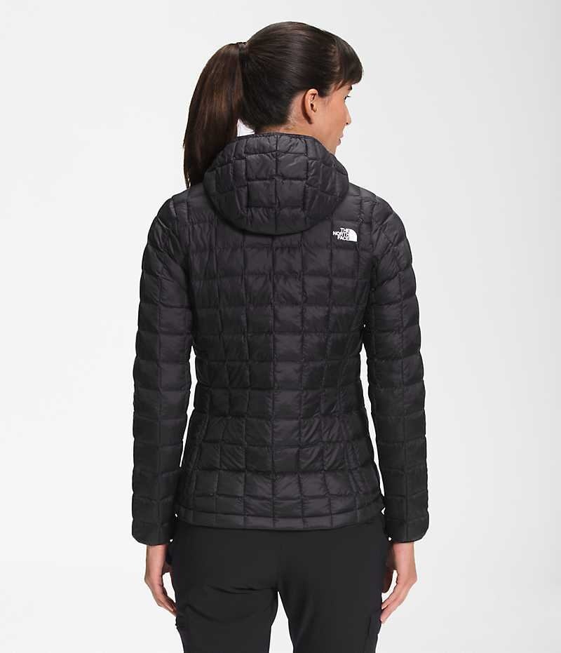 Doudoune The North Face ThermoBall™ Eco Hoodie 2.0 Femme Noir | FR TRIXU