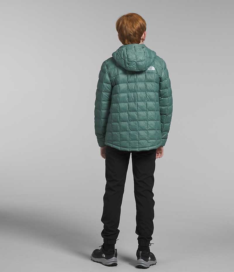 Doudoune The North Face ThermoBall™ Encapuchonné Garcon Vert | PARIS TBLGO