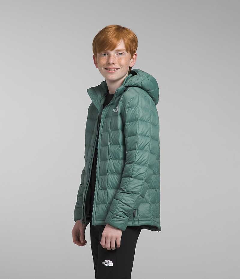 Doudoune The North Face ThermoBall™ Encapuchonné Garcon Vert | PARIS TBLGO