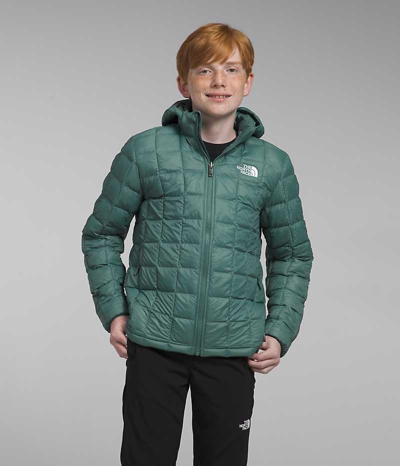 Doudoune The North Face ThermoBall™ Encapuchonné Garcon Vert | PARIS TBLGO