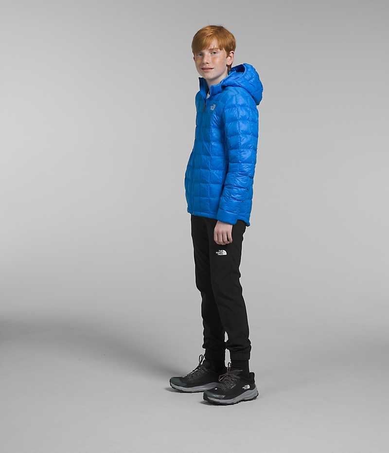 Doudoune The North Face ThermoBall™ Encapuchonné Garcon Bleu | FRANCE XUORM