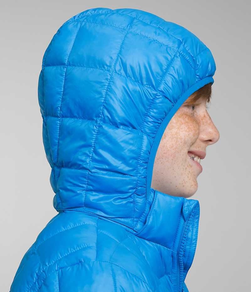 Doudoune The North Face ThermoBall™ Encapuchonné Garcon Bleu | FRANCE XUORM