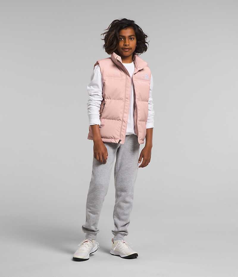 Gilet The North Face 1996 Retro Nuptse Garcon Rose | FRANCE JVWYO
