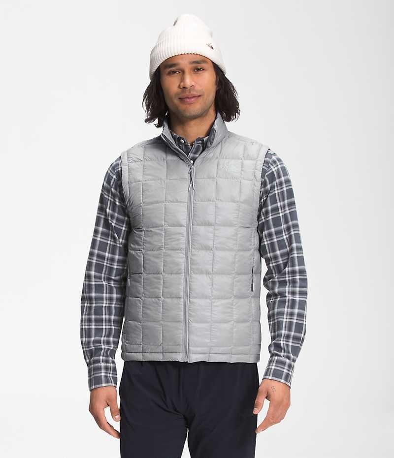 Gilet en Duvet The North Face ThermoBall™ Eco 2.0 Homme Grise | FRANCE FQMZX