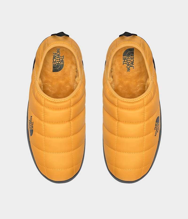 Mules The North Face ThermoBall™ Traction V Homme Doré | FR TCIQS
