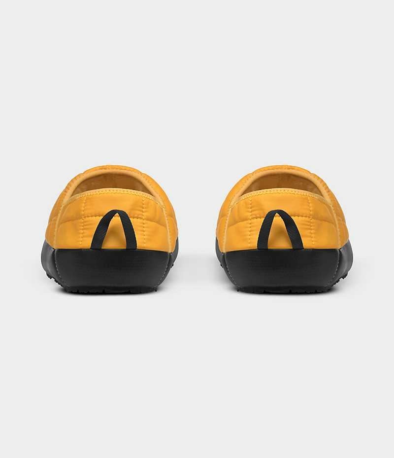 Mules The North Face ThermoBall™ Traction V Homme Doré | FR TCIQS