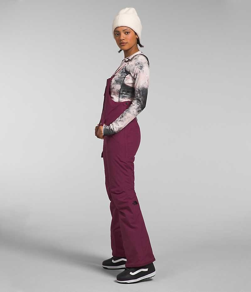 Pantalon Bib The North Face Freedom Insulated Femme Bordeaux | FRANCE PYXNA