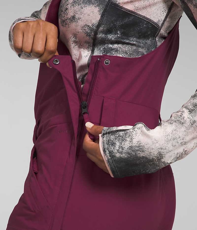 Pantalon Bib The North Face Freedom Insulated Femme Bordeaux | FRANCE PYXNA