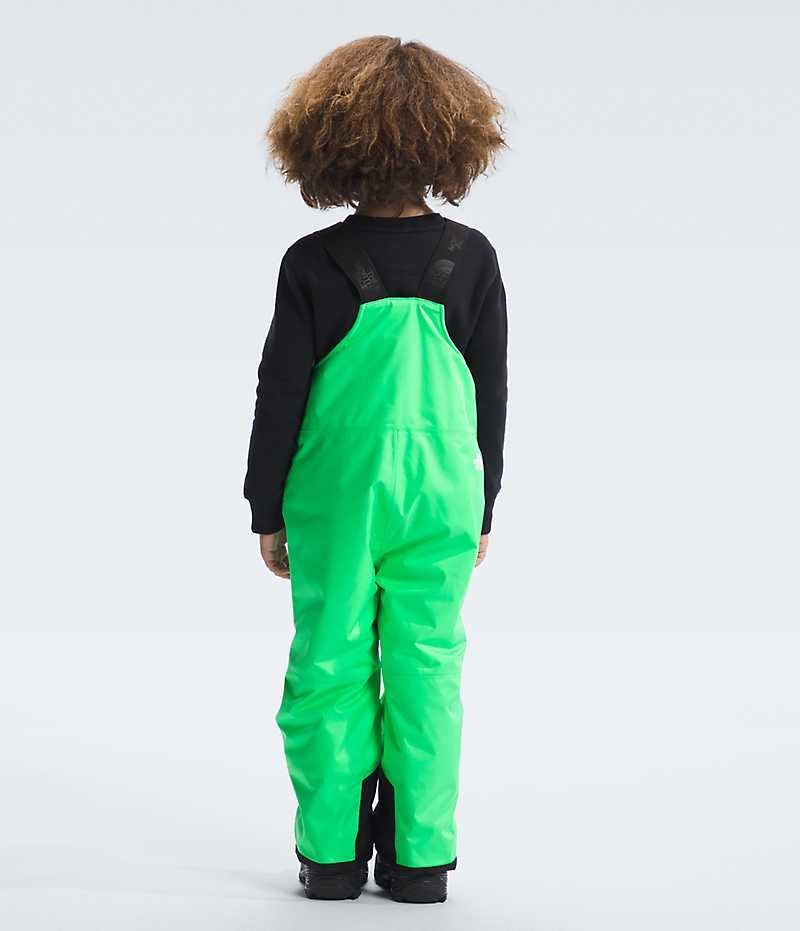 Pantalon Bib The North Face Freedom Insulated Garcon Vert | FRANCE YEQMB