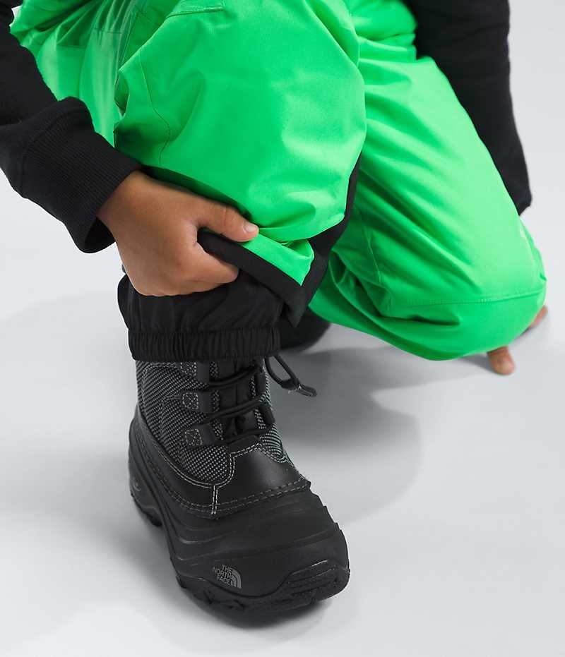 Pantalon Bib The North Face Freedom Insulated Garcon Vert | FRANCE YEQMB