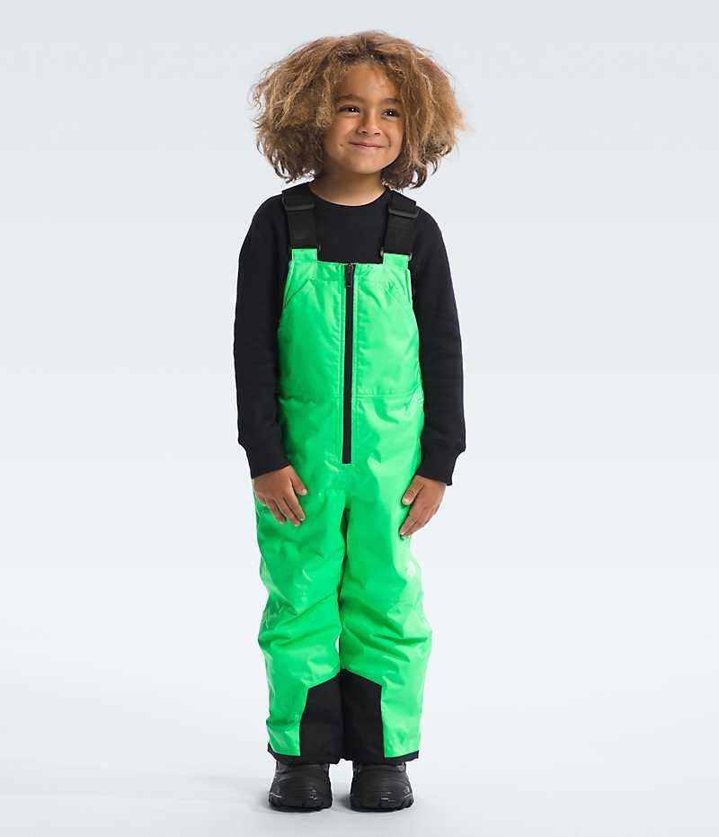 Pantalon Bib The North Face Freedom Insulated Garcon Vert | FRANCE YEQMB