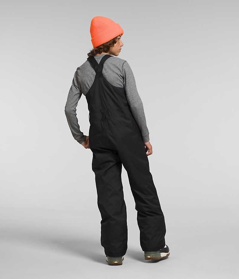 Pantalon Bib The North Face Freedom Insulated Garcon Noir | PARIS DOAWC