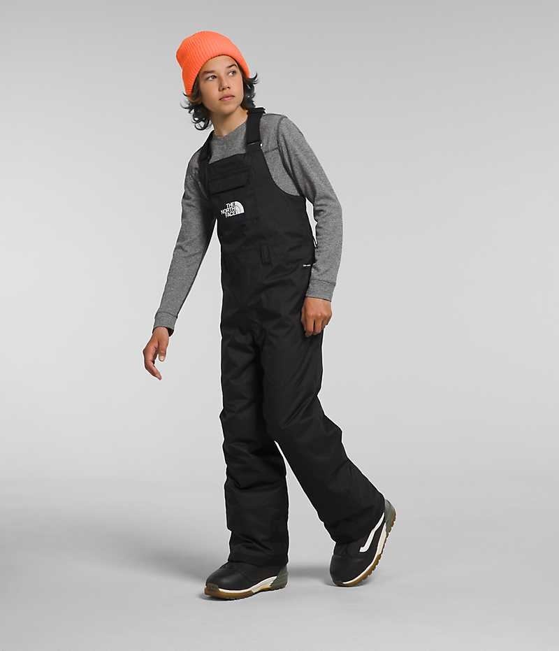 Pantalon Bib The North Face Freedom Insulated Garcon Noir | PARIS DOAWC