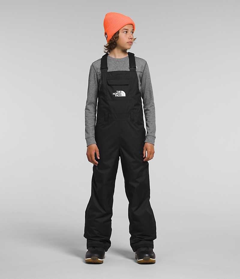 Pantalon Bib The North Face Freedom Insulated Garcon Noir | PARIS DOAWC