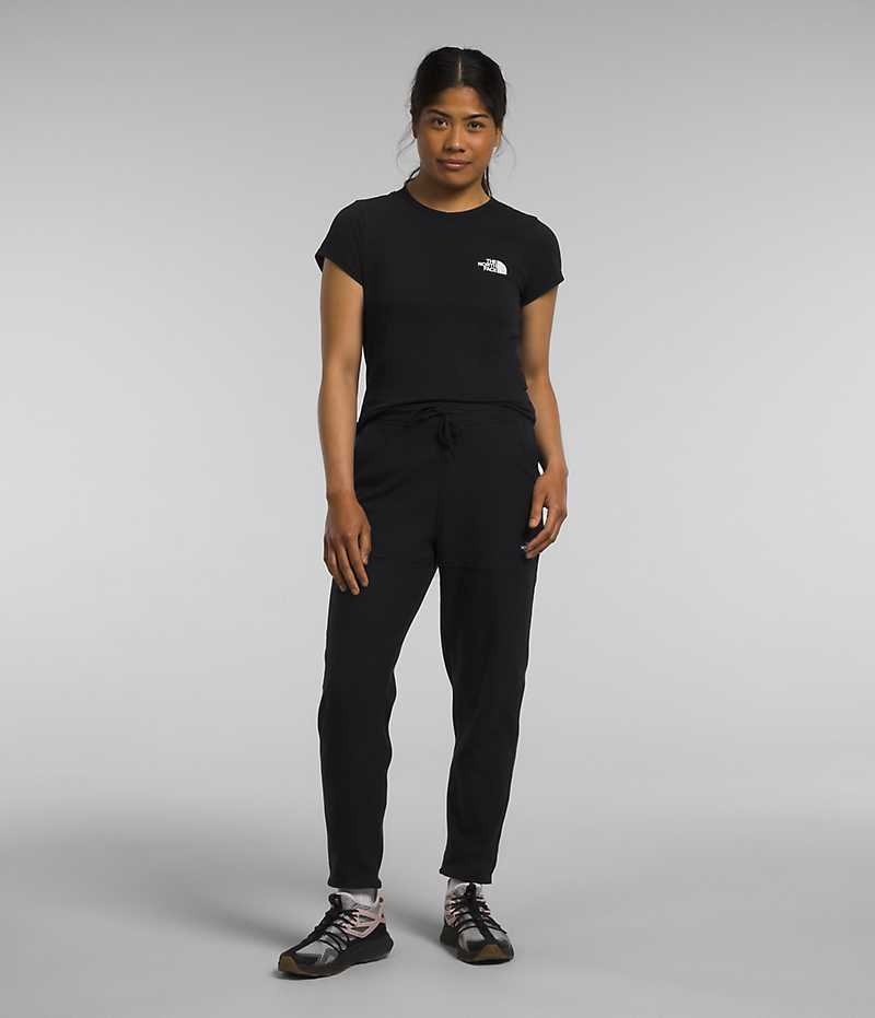 Pantalon En Molleton The North Face Alpine Polartec® 100 Femme Noir | FR VWQNC