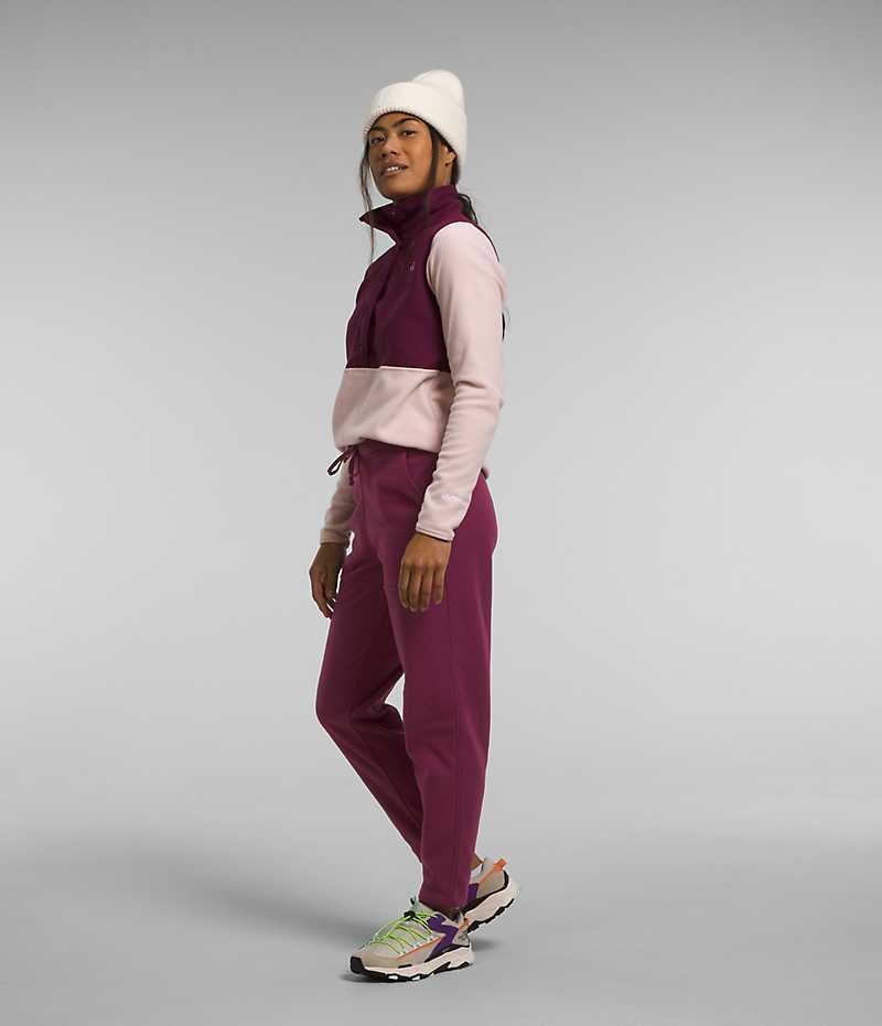Pantalon En Molleton The North Face Alpine Polartec® 100 Femme Bordeaux | FRANCE JCVWO