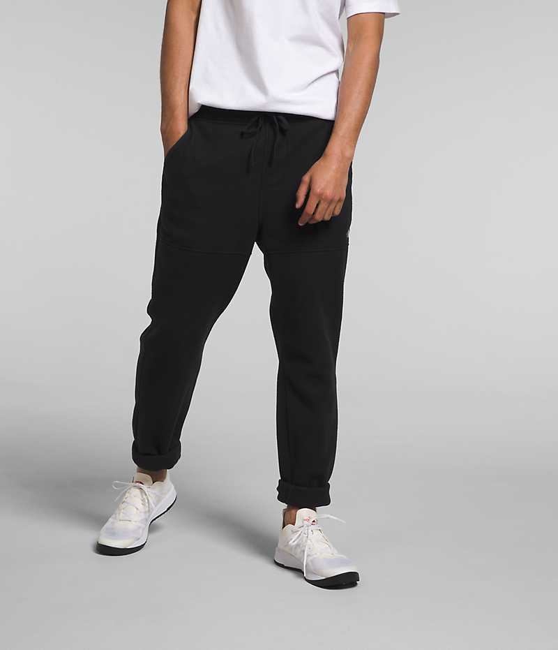Pantalon En Molleton The North Face Alpine Polartec® 100 Homme Noir | FR IBMOT