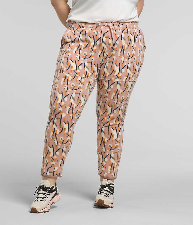 Pantalon En Molleton The North Face Plus Alpine Polartec® 100 Femme Multicolore | FRANCE VHTBM